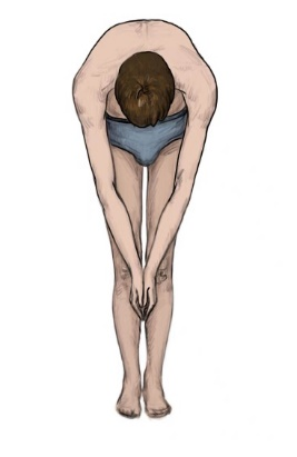 前屈試驗示意圖 前屈試驗示意圖